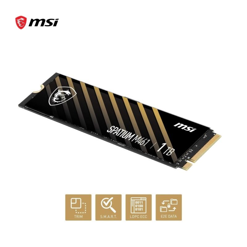 SPATIUM M461-1TB-C